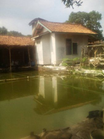 Pemancingan Mang Iing